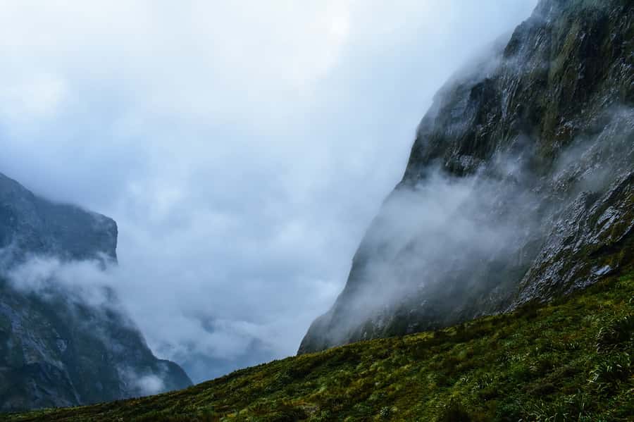 Guided Private Milford Sound Day Tour from Te Anau(Cruise In - What the road to Milford Sound adds