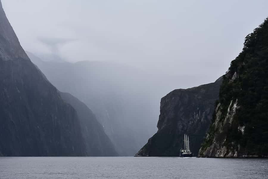 Guided Private Milford Sound Day Tour from Te Anau(Cruise In - Is $209 per person good value?