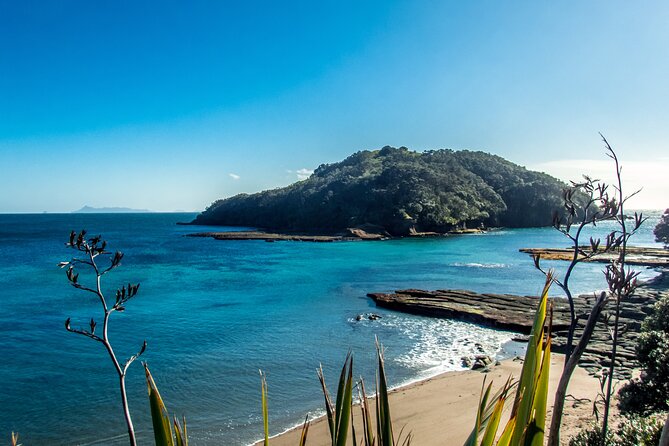 Guided Snorkel Experience, Advanced - Who should book this experience?