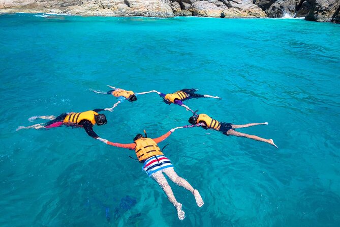Guided Snorkeling and Island Exploration in Auckland - Meeting your guide at Tiritiri Matangi Wharf