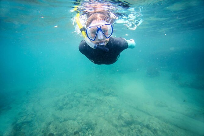 Guided Snorkeling and Island Exploration in Auckland - Snorkeling with a warm wetsuit and supplied gear
