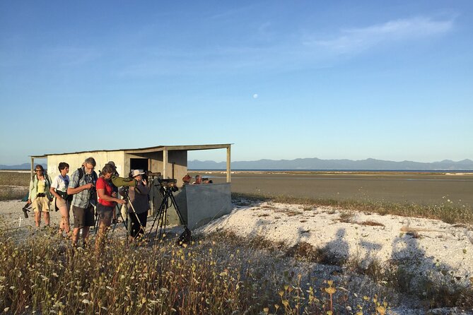 Guided Tour at Pukorokoro Shorebird Centre - Using telescopes to identify distant birds