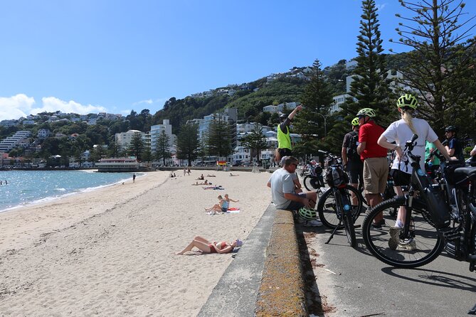 Guided Wellington Tour by Electric Bike - The Zephyrometer and Wellington’s serious wind