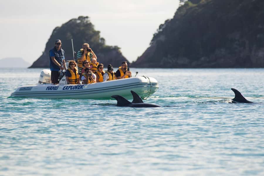 Hahei Explorer Cathedral Cove Boat Tour - The one-hour route along the volcanic coast