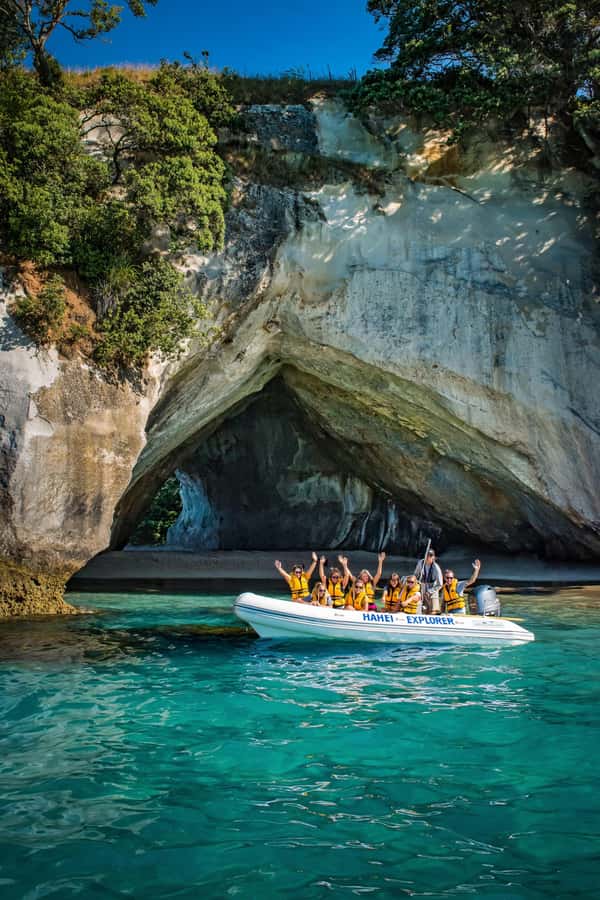 Hahei Explorer Cathedral Cove Boat Tour - Marine life in the reserve