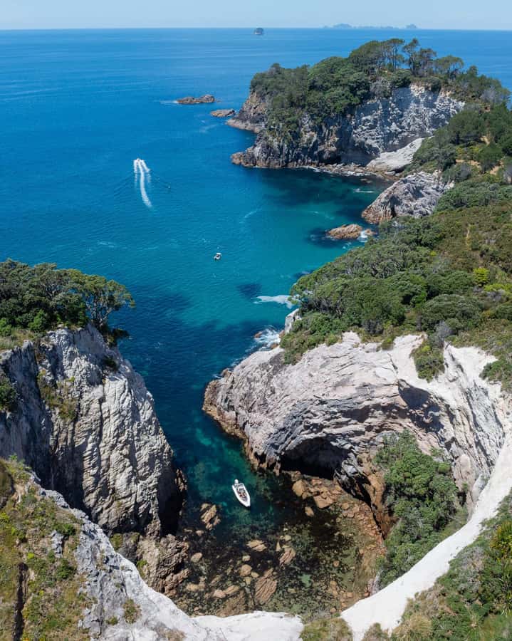 Hahei Explorer Cathedral Cove Boat Tour - Is $86 a fair price?