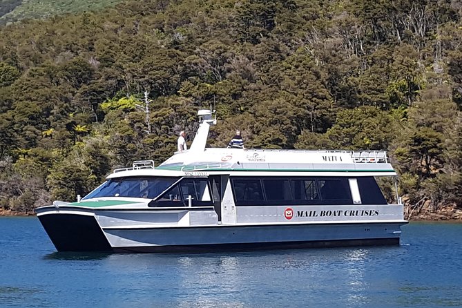 Half-Day Cruise in Marlborough Sounds from Picton - Key points to know before you book