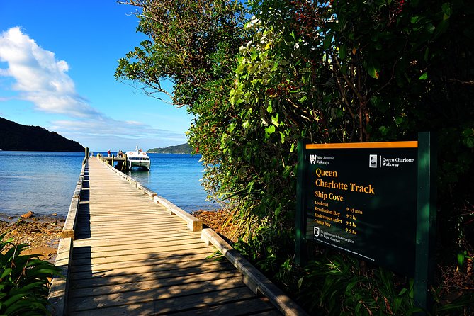 Half-Day Cruise in Marlborough Sounds from Picton - What this Picton cruise really is