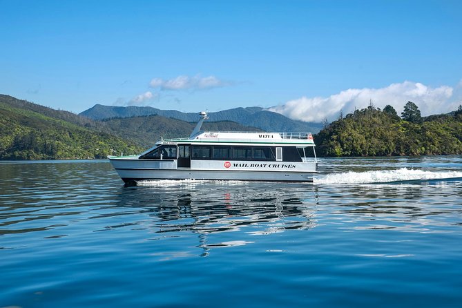 Half-Day Cruise in Marlborough Sounds from Picton - Queen Charlotte Sound from the water