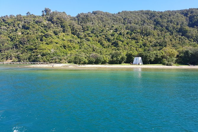 Half-Day Cruise in Marlborough Sounds from Picton - Who should book this morning trip?