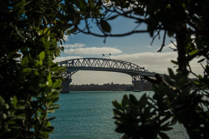 Half-day Discover Auckland City Sightseeing Tour - A fast, useful introduction to Auckland