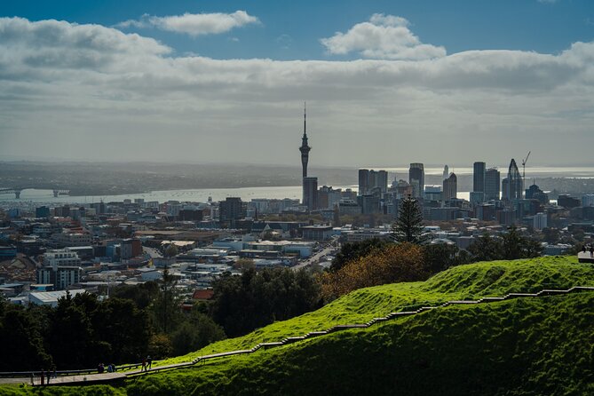 Half-day Discover Auckland City Sightseeing Tour - Meeting at the Ferry Building