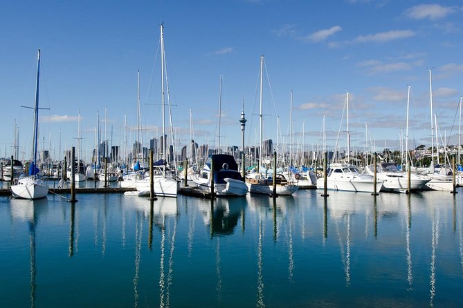 Half-day Discover Auckland City Sightseeing Tour - Auckland Domain and the museum you will save for later