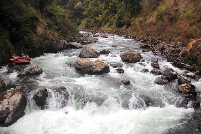 Half Day, Grade 5, White Water Rafting on the Rangitikei River - Who should book this Rangitikei rafting trip?