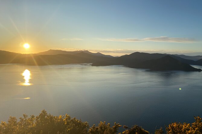 Half-Day Guided Sea Kayak Trip from Picton - Why this route works well from Picton
