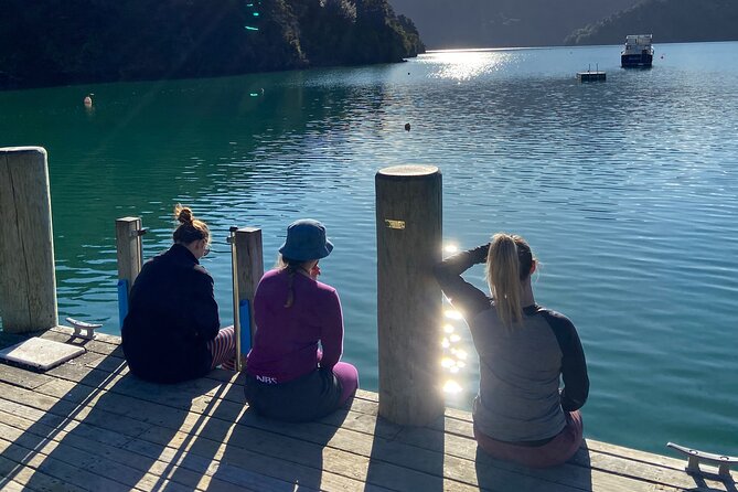 Half-Day Guided Sea Kayak Trip from Picton - Paddling through the Grove Arm