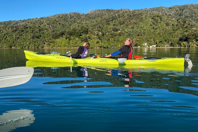 Half-Day Guided Sea Kayak Trip from Picton - Ngakuta Bay and the van return