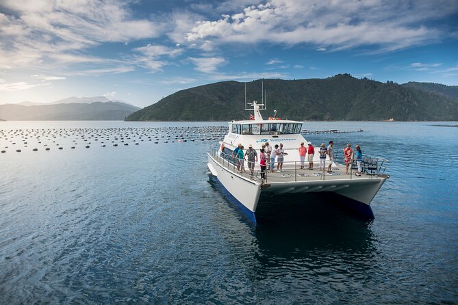 Half-Day Guided Sea Kayak Trip from Picton - Price and overall value