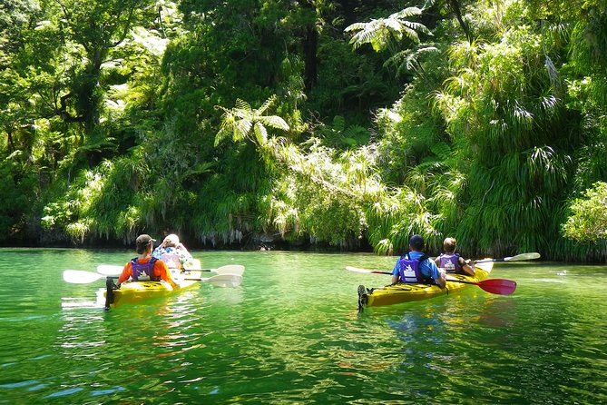 Half-Day Guided Sea Kayak Trip from Picton - Meeting at the Picton waterfront