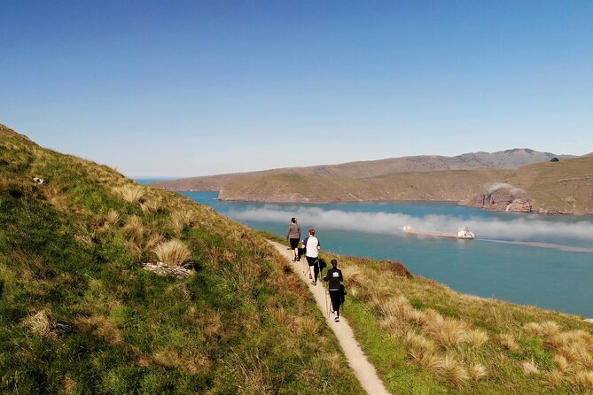 Half Day Guided Walking Tour on Banks Peninsula - Why Godley Head works so well for a short outing