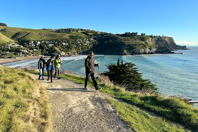Half Day Guided Walking Tour on Banks Peninsula - What is included, and why it matters