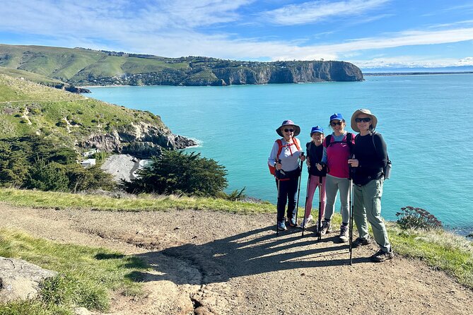 Half Day Guided Walking Tour on Banks Peninsula - Is €128.65 good value?