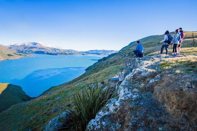 Half Day Guided Walking Tour on Banks Peninsula - The route: gradual hills, sea views, and small beaches