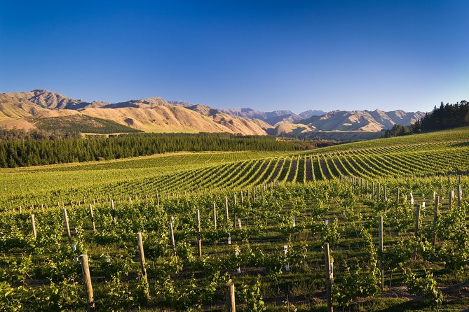 Half-Day Marlborough Wine Tour & Beer Tour - Beer and Chocolate Add Variety