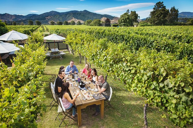 Half-Day Marlborough Wine Tour & Beer Tour - Who Will Enjoy This Afternoon Most