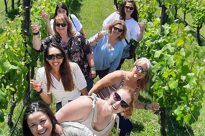 Half Day Martinborough Winery Tour from Wellington - Why Martinborough makes sense from Wellington