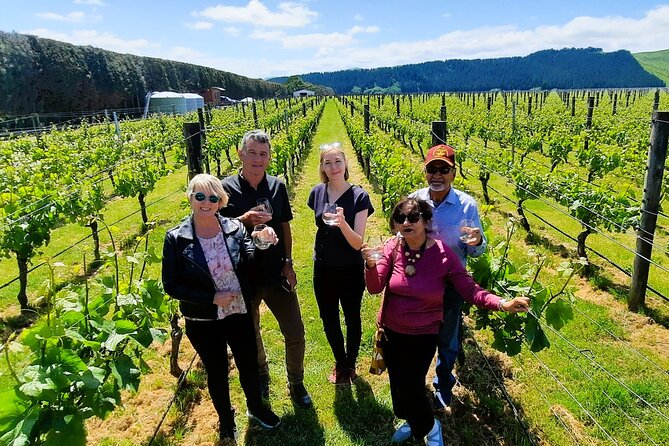 Half Day Martinborough Winery Tour from Wellington - Why the small-group format matters