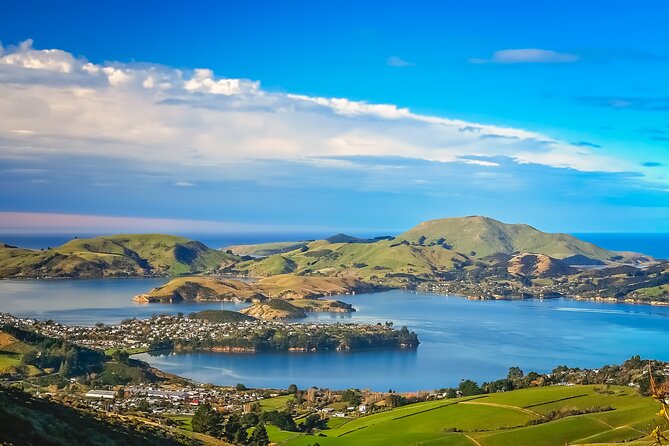 Half-Day Private City, Sights & Wildlife Tours - Baldwin Street and Dunedin’s quirky side