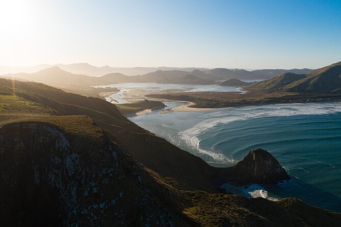 Half-Day Private City, Sights & Wildlife Tours - Smaill’s Beach and Dunedin’s Pacific edge