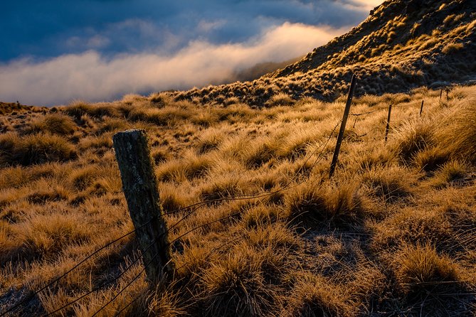 Half-Day Queenstown Photography Tour - What the private format means in practice