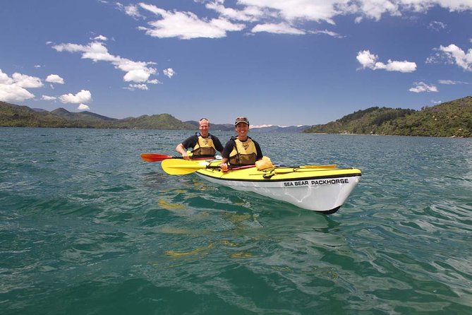 Half day Sea Kayak Guided Tour from Picton - Wildlife worth watching for