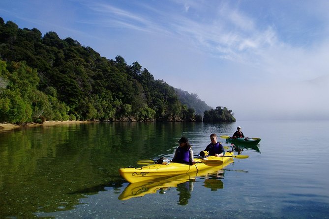 Half day Sea Kayak Guided Tour from Picton - What the price includes at $74.47