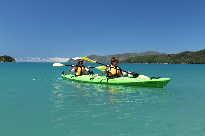 Half day Sea Kayak Guided Tour from Picton - Paddling into the Marlborough Sounds