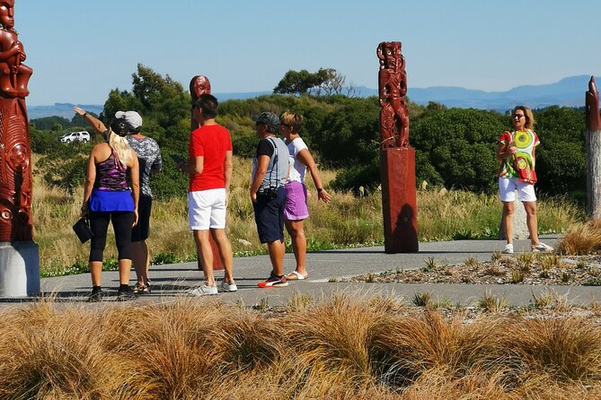 Half Day Sightseeing and Taste Tour - Te Mata Figs and local farm products