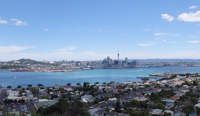 Half-Day: Small Group Auckland Scenic Tour - 4 HOURS - Key points before you book