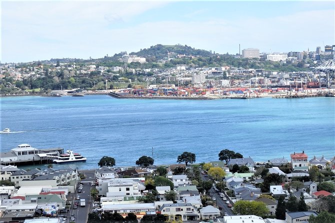 Half-Day: Small Group Auckland Scenic Tour - 4 HOURS - What the guides add to the ride