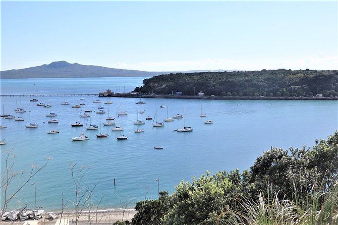 Half-Day: Small Group Auckland Scenic Tour - 4 HOURS - Crossing the Harbour Bridge to Auckland’s North Shore