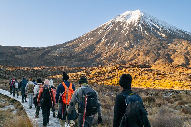 Half Day Tongariro Alpine Guided Group Walk - A Shorter Way Into Tongariro’s Volcanic Country