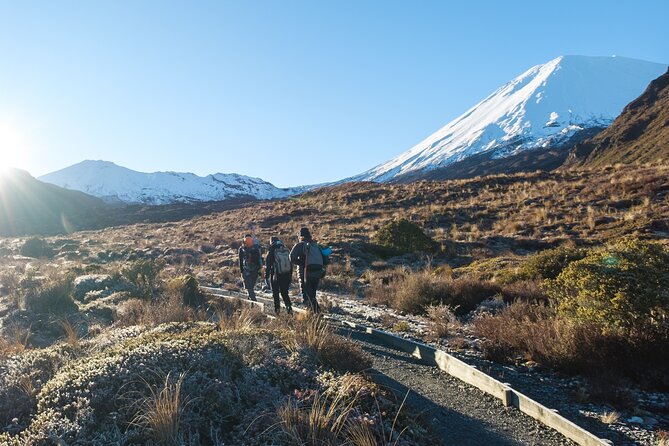 Half Day Tongariro Alpine Guided Group Walk - Soda Springs and the Small Green Oasis
