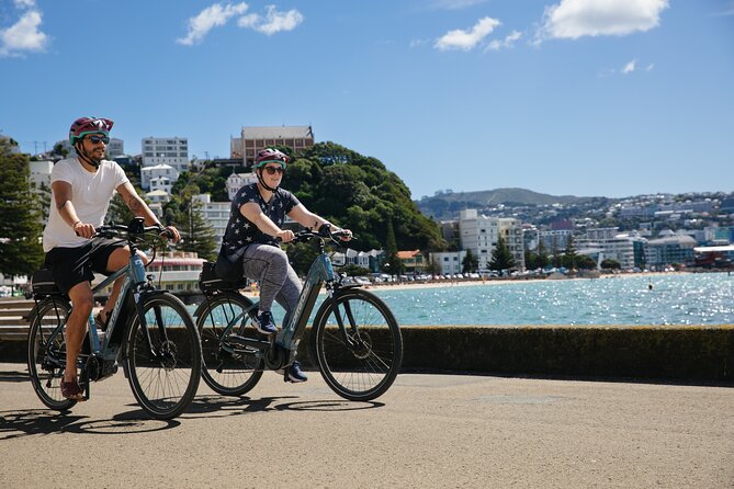 Half Day Tour of Wellington - The gardens offer a gentler side of the city