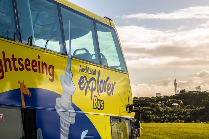 Half-Day Volcano Tour from Auckland - One Tree Hill adds history inside Cornwall Park