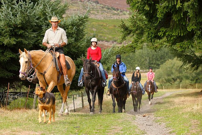 Half Day Walter Peak Horse Trek and Cruise from Queenstown - What the $142.11 price really covers