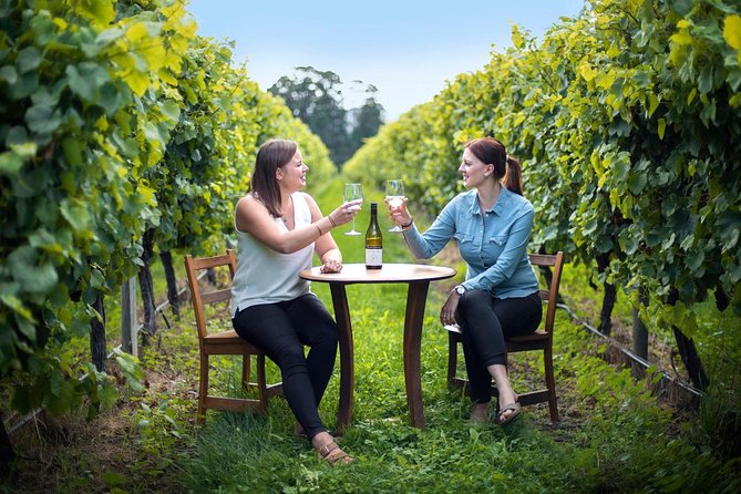 Half-Day Wine Tour from Blenheim - An easy afternoon introduction to Marlborough wine