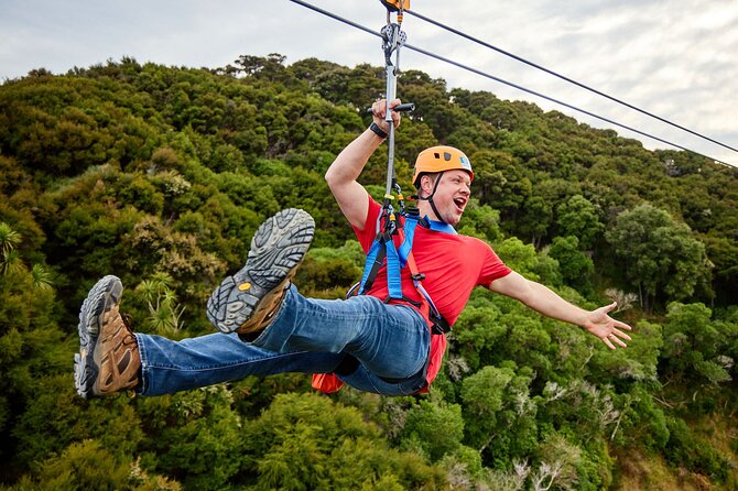 Half Day Zipline Adventure in Kaikoura - Guided walks add more than filler between flights