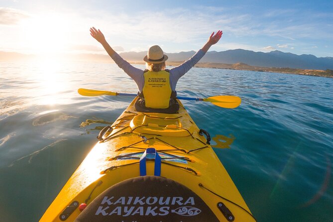 Half Day Zipline Adventure in Kaikoura - Who should book this adventure?