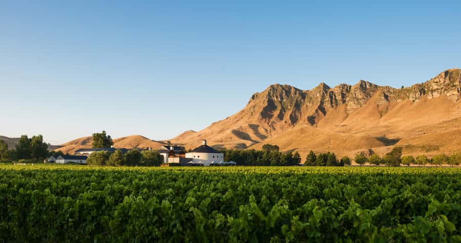 Hawke's Bay: Self Guided Coast to Vineyards Cycle Tour - Lunch, tastings, and the clock